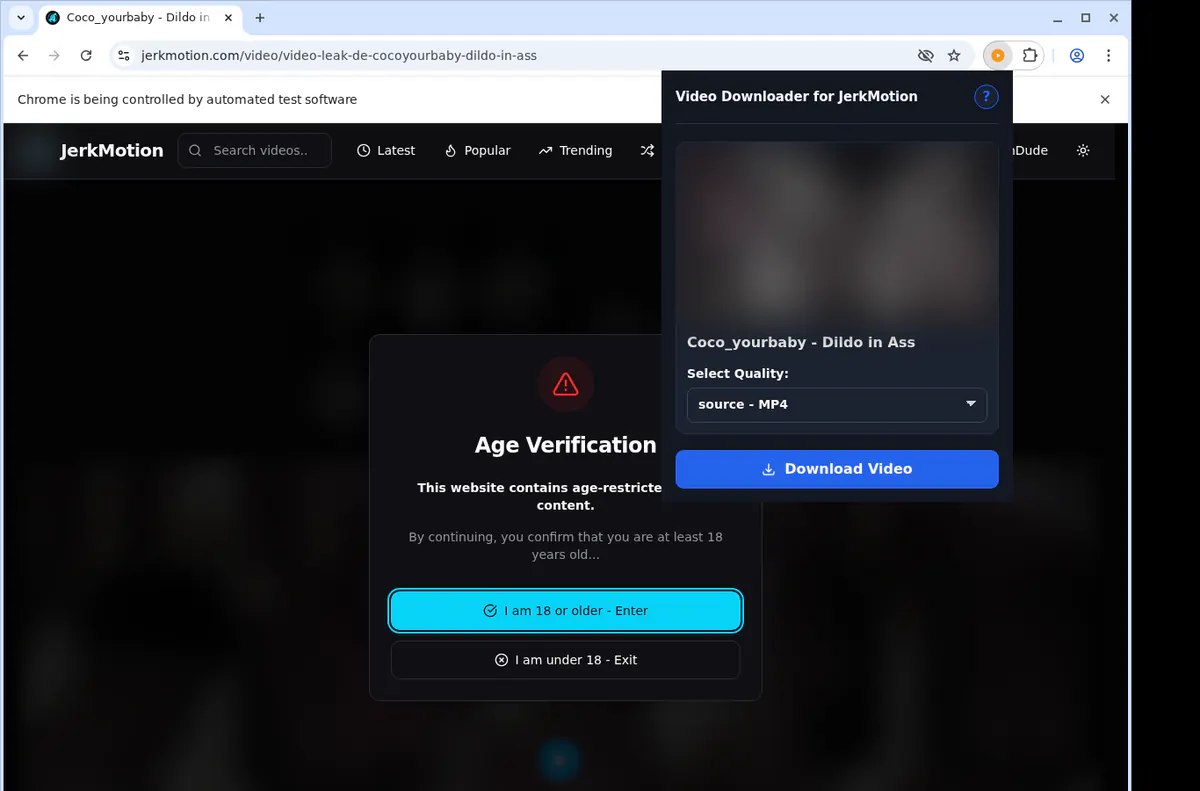 Jerkmotion Video Downloader browser extension screenshot 3