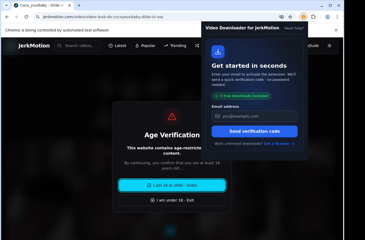 Jerkmotion Video Downloader browser extension screenshot 4